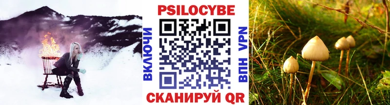 закладки  Менделеевск  Псилоцибиновые грибы мухоморы 